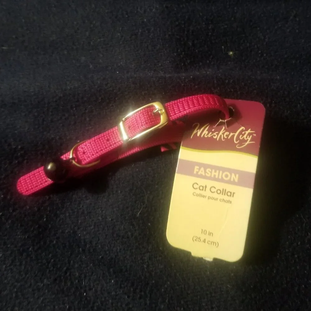 NWT pink cat collar w bell, buckle not breakaway - Picture 1 of 5